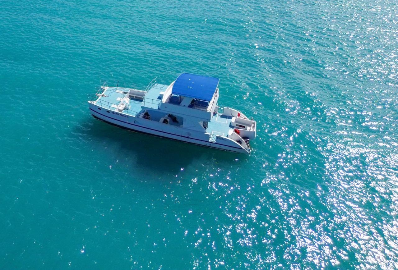 catamaran saona island
